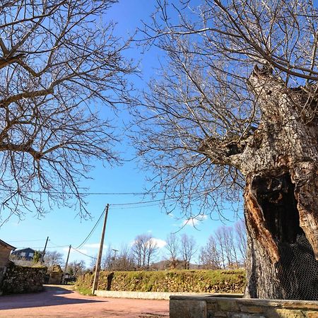 Casas Rurales San Justo エクステリア 写真
