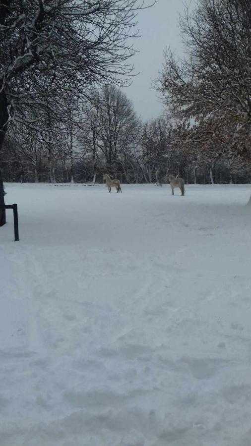 Casas Rurales San Justo エクステリア 写真