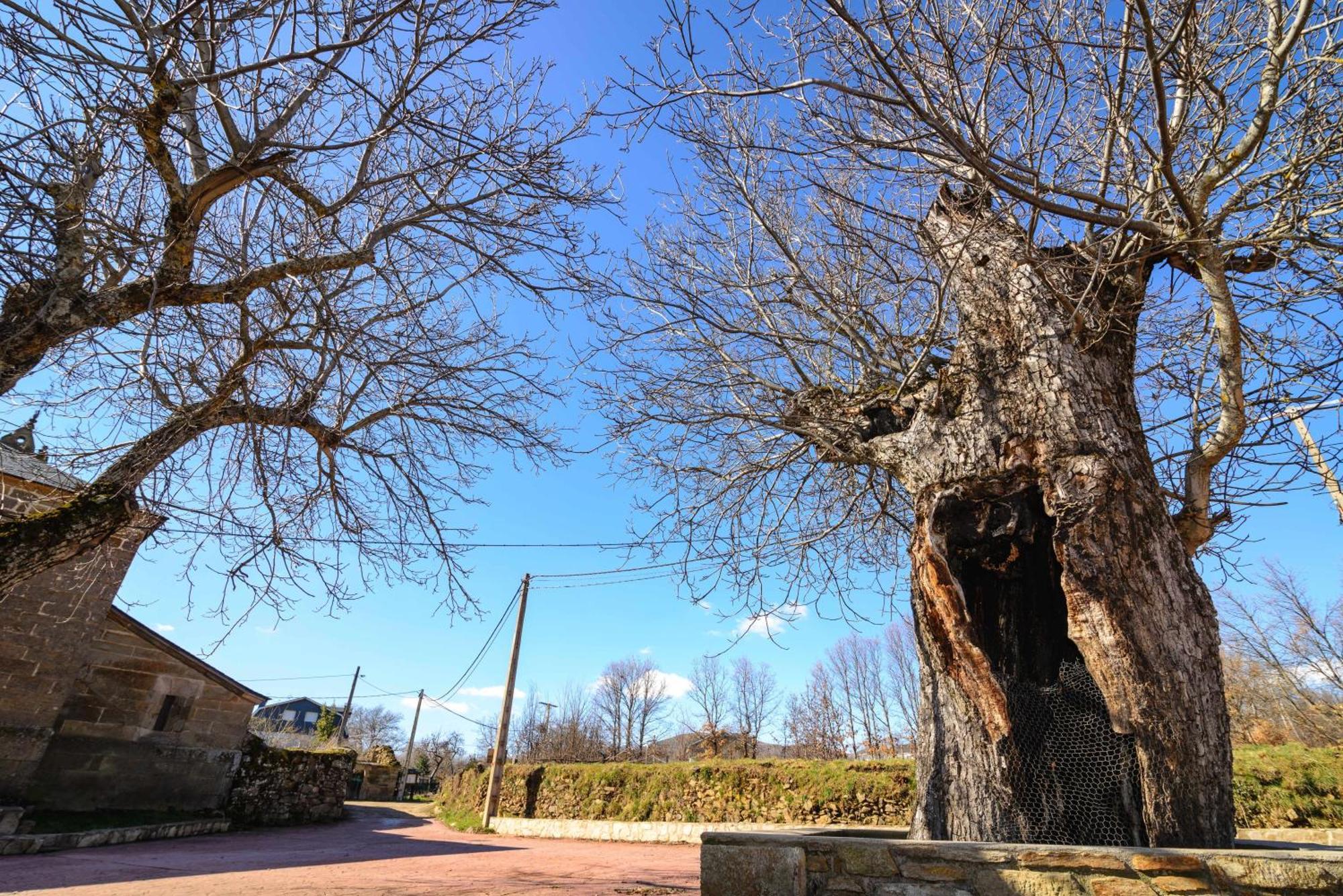 Casas Rurales San Justo エクステリア 写真